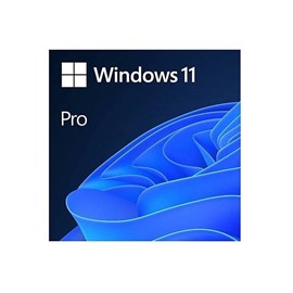 Microsoft Windows 11 Pro Kutu Türkçe HAV-00159 İşletim Sistemi
