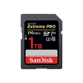 SANDISK 1TB SD KART 170Mb/s EXT PRO C10 SDSDXXY-1T00-GN4IN