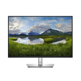 Dell P2425E 24" 8MS 100Hz IPS Monitör