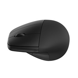HP 6H1A4AA 920 Ergonomik Kablosuz Mouse