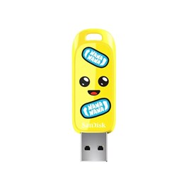 SanDisk SDCZIF-256G-G46 256GB USB 3.2 Gen 1 Flash Bellek