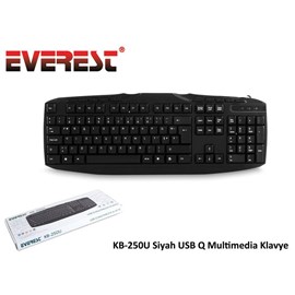Everest KB-250U USB Türkçe Q Multimedya Kablolu Siyah Klavye